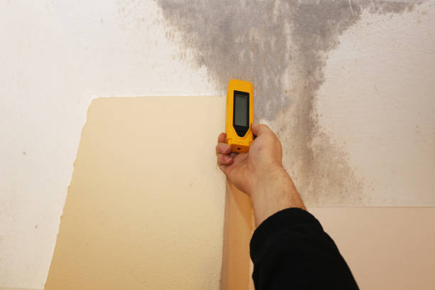 Mold Remediation for Vacation Homes in Huntington, WV
