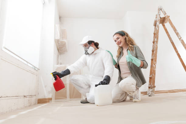 Trusted Huntington, WV Mold Removal Experts