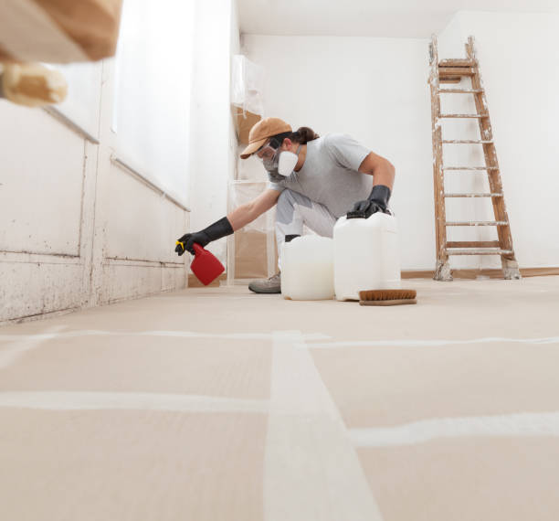 Best Crawl Space Mold Remediation  in Huntington, WV