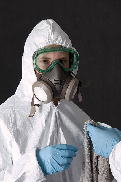 Asbestos and Lead Testing During Mold Inspection in Huntington, WV